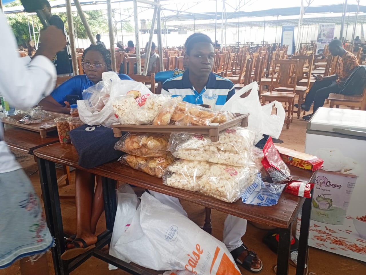 JPO IAI-Togo 2026 : Le génie créatif des étudiants exposé ce lundi